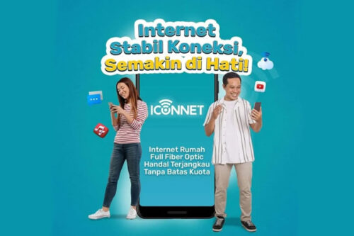 artikel 2 iconnet